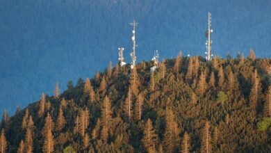 telecommunications innovation through numbers