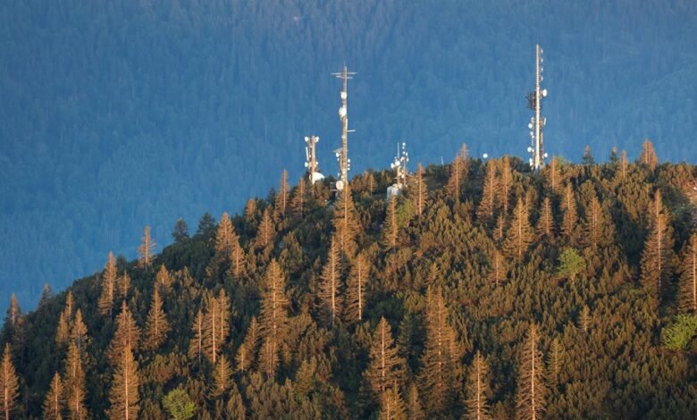 telecommunications innovation through numbers