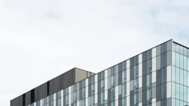 corporate financial structure optimization