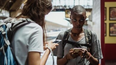 digital platforms exploration insights