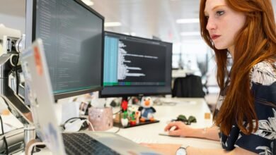 innovative it development leadership