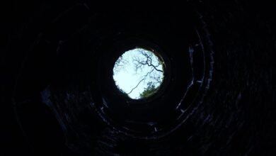 network infrastructure investigation insights