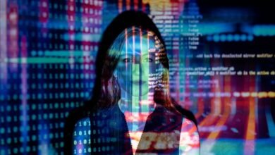 software development insights explained