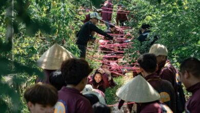 strategic growth plan outlined