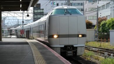 build your online platform