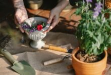 digital growth optimization tools