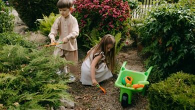 digital tools for growth