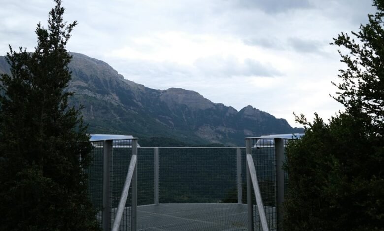 online service elevation platform